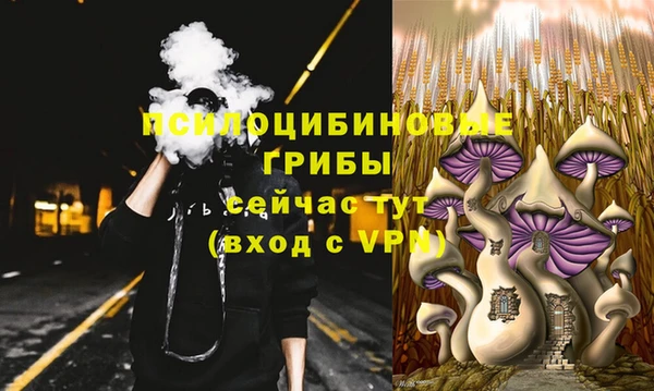 ALPHA-PVP Горняк