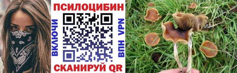 купить наркотики сайты  Курск  Псилоцибиновые грибы GOLDEN TEACHER 